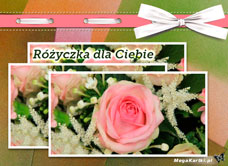 e-Kartka e Kartki z tagiem: Bukiet kwiatów Różyczka dla Ciebie, kartki internetowe, pocztówki, pozdrowienia