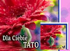 e-Kartka e Kartki z tagiem: Darmowe e-kartki Dzień Taty Kwiat dla Taty, kartki internetowe, pocztówki, pozdrowienia
