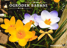 e-Kartka e Kartki z tagiem: Kartka Dzień Babci Ogródek Babuni, kartki internetowe, pocztówki, pozdrowienia