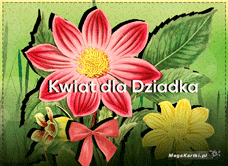 e-Kartka e Kartki z tagiem: Kwiatki Kwiat dla Dziadka, kartki internetowe, pocztówki, pozdrowienia