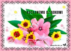 e-Kartka e Kartki z tagiem: Kwiatki Kochanemu dziadkowi, kartki internetowe, pocztówki, pozdrowienia