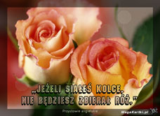 e-Kartka e Kartki z tagiem: Kartki z kwiatami online Nie zbierzesz róż, kartki internetowe, pocztówki, pozdrowienia