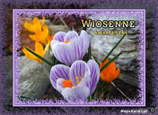 e-Kartka e Kartki z tagiem: Darmowe kartki internetowe Wiosenne kwiatuszki, kartki internetowe, pocztówki, pozdrowienia