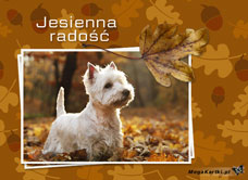 e-Kartka   Jesienna radość, kartki internetowe, pocztówki, pozdrowienia