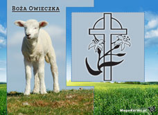 e-Kartka Darmowe e Kartki Religijne Boża Owieczka, kartki internetowe, pocztówki, pozdrowienia