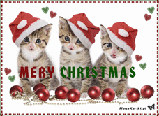 e-Kartka e Kartki z tagiem: Kartki bożonarodzeniowe Z okazji Bożego Narodzenia, kartki internetowe, pocztówki, pozdrowienia