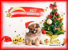 e-Kartka e Kartki z tagiem: Kartki bożonarodzeniowe Milusie Boże Narodzenie, kartki internetowe, pocztówki, pozdrowienia