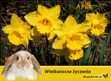 e-Kartka e Kartki z tagiem: e-Kartka wielkanocna Wielkanocne kwiaty, kartki internetowe, pocztówki, pozdrowienia
