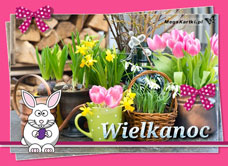 e-Kartka e Kartki z tagiem: Wielkanoc Wielkanocne kwiaty dla Ciebie, kartki internetowe, pocztówki, pozdrowienia